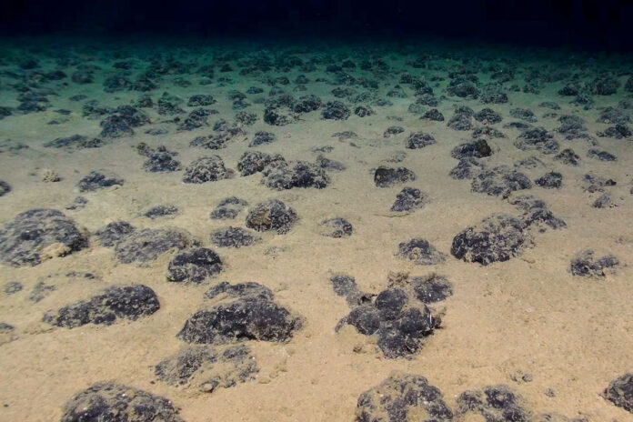 Científicos revelan que el fondo oceánico produce su propio oxígeno